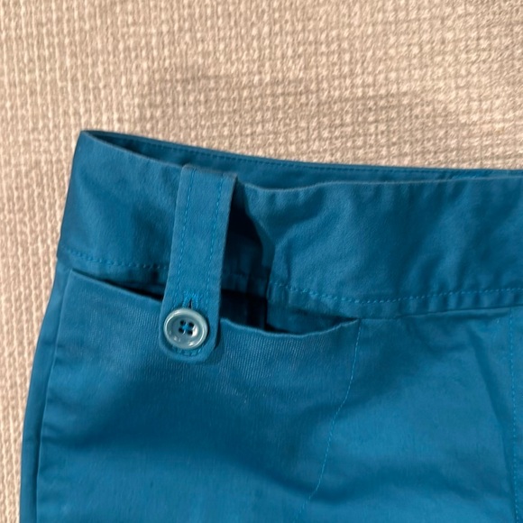 Ann Taylor Capris Pants - Picture 2 of 8